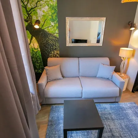 Le Bois, T2 Hypercentre Chic Et Cosy, Wifi Par Sovalfi Apartment *