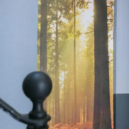 Le Bois, T2 Hypercentre Chic Et Cosy, Wifi Par Sovalfi